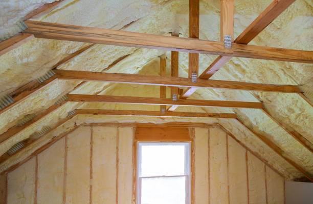 Best Specialized Insulation Services in Victor, ID