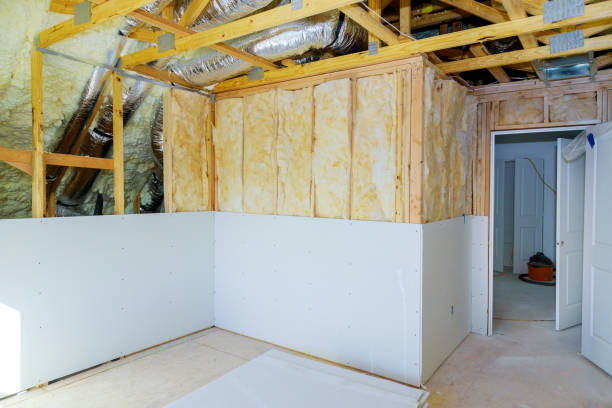 Best Eco-Friendly Insulation in Victor, ID
